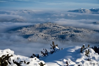 Pokljuka