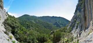 Punta Pilocca