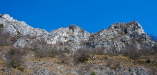 Potencialen novi sektor