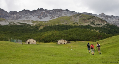 In se kasneje odličili, da bo dovolj samo do vrha travne meje