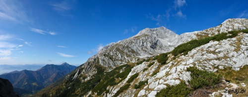 Gritovec iz Kokrškega sedla