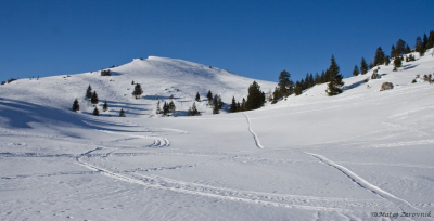 Nadaljujem proti vrhu(hriba, ne Velike planine)