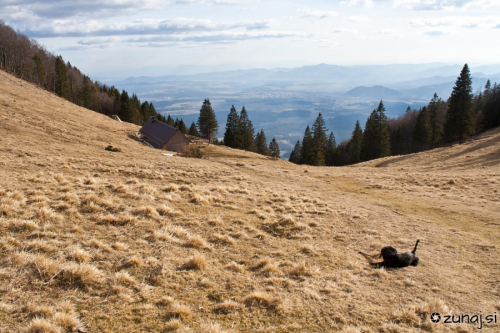 Miši in koča na vrhu Velike Poljane