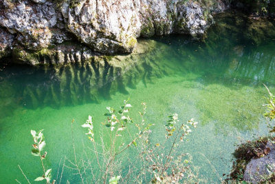 Na poti smo morali prečkati Savo Bohinjko