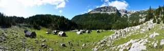 Planina laz in Kreda v ozadju