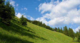 Prihod na travnik