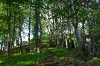 Zagledam vrh