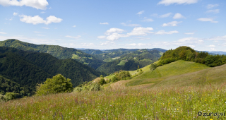Travniki in gozdovi na Osolniku