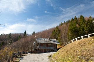 Koča