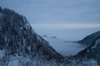 Pogled v dolino