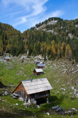 Dedno polje