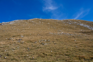 Travnik pod Slatno