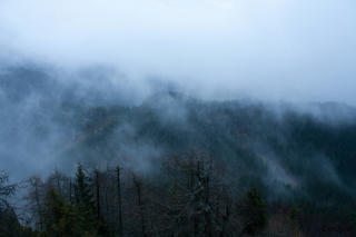 Pogled v dolino