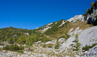 Na poti proti dolini Za Kopico