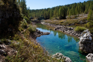 Zajezeno jezero