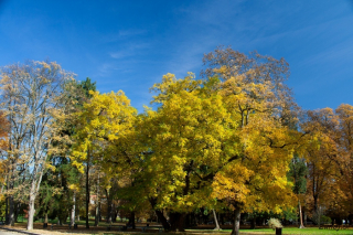 Mestni park Maribor