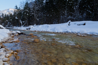 Potoček v dolini Vrat