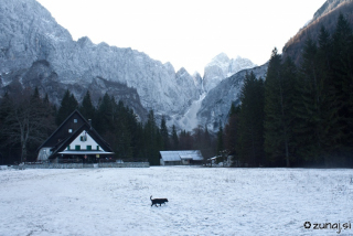 Koča v Tamarju