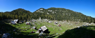 Planina Dedno polje