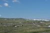 img_6254_resize