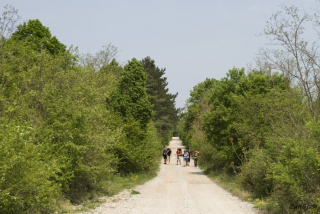 Dolga ravna pot do vasi Basovizza