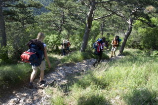 Spust v dolino Glinščica