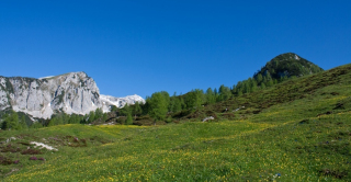 Zelena planina