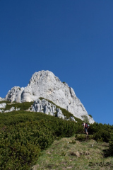 Proti steni