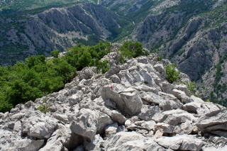 Na vrhu Anića Kuka