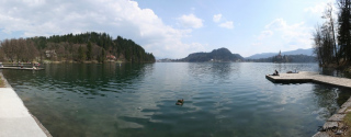 Blejsko jezero