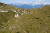 Kolone na vrhu