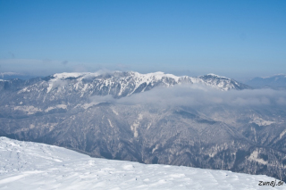 Soriška planina