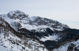 Ogradi in planina