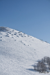 Višje na Kočni