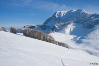 Pogled nazaj