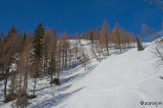 Pod kočo na Lipanci