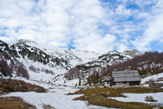 Planina Suha