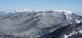 Kamniško Savinske Alpe v ozadju