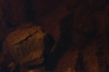 Temna Norveška voda