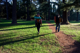 Sprehod skozi park