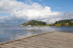 IMG_1225