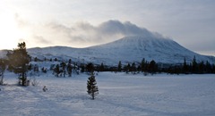 Planota in Gustavtoppen v ozadju