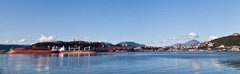 IMG_5585